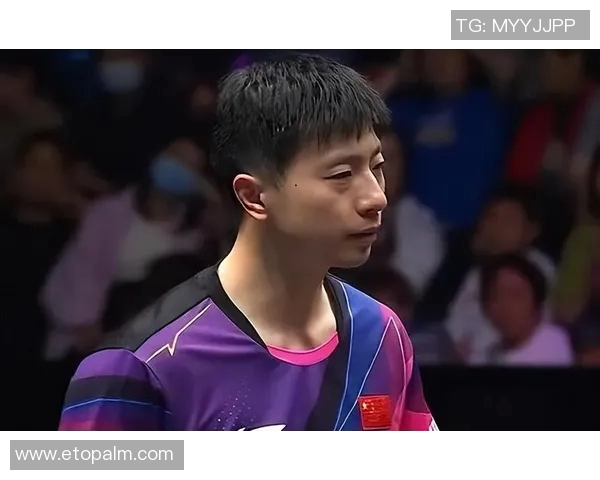 上海乒乓球队总决赛背后的奋斗故事与荣耀时刻