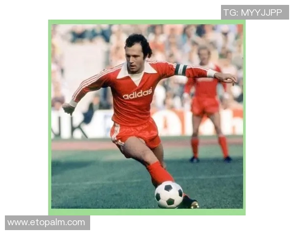 31号足球明星的传奇之路与辉煌成就全解析 31号足球明星的传奇之路与辉煌成就全解析