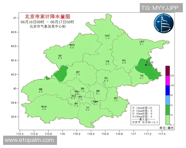 北京乒乓球队的节奏与发展趋势深度解析及未来展望