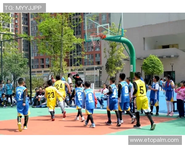 成都篮球队的团队协作揭秘：如何在赛场上实现完美配合与默契合作