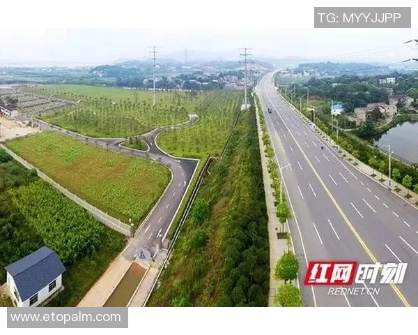 武汉排球队的转型之路：从传统强队到现代化竞技新标杆